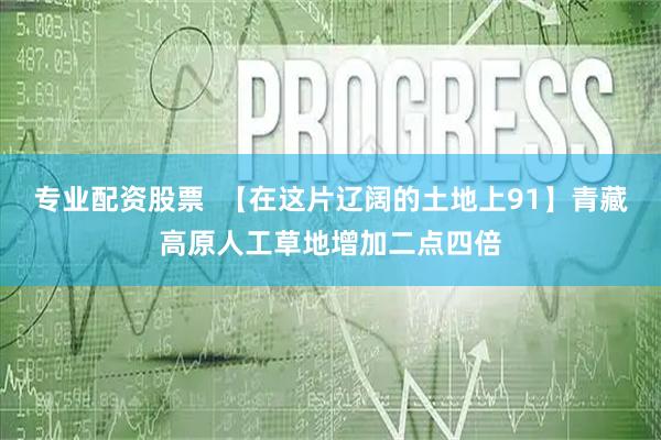 专业配资股票  【在这片辽阔的土地上91】青藏高原人工草地增加二点四倍