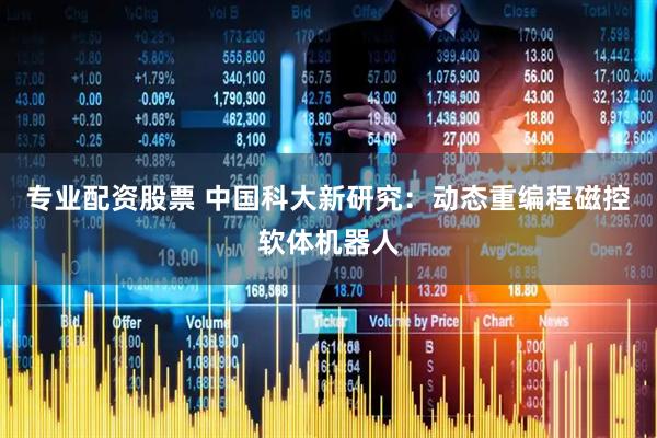 专业配资股票 中国科大新研究：动态重编程磁控软体机器人