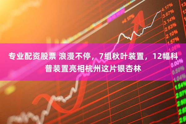 专业配资股票 浪漫不停，7组秋叶装置，12幅科普装置亮相杭州这片银杏林